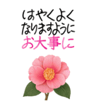 12月 冬の花 大きくて見やすい挨拶スタンプ（個別スタンプ：19）