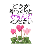 12月 冬の花 大きくて見やすい挨拶スタンプ（個別スタンプ：20）