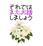 12月 冬の花 大きくて見やすい挨拶スタンプ（個別スタンプ：23）
