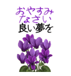 12月 冬の花 大きくて見やすい挨拶スタンプ（個別スタンプ：24）