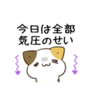 動く！毎日五月病なねこたち 季節の変わり目（個別スタンプ：10）