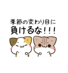 動く！毎日五月病なねこたち 季節の変わり目（個別スタンプ：24）