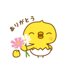 ひよこのピッピ_ うれし、たのし（個別スタンプ：12）