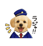 マルチーズ×プードルの毎日（個別スタンプ：3）