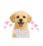 マルチーズ×プードルの毎日（個別スタンプ：16）