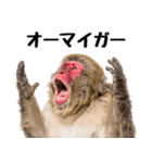 日本猿のリアクション（個別スタンプ：5）