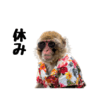 日本猿のリアクション（個別スタンプ：22）