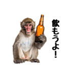 日本猿のリアクション（個別スタンプ：31）