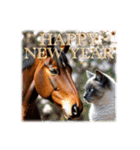 馬じゃなくって猫年だにゃ！！！年賀スタンプ（個別スタンプ：3）