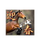 馬じゃなくって猫年だにゃ！！！年賀スタンプ（個別スタンプ：7）