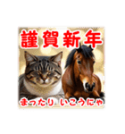 馬じゃなくって猫年だにゃ！！！年賀スタンプ（個別スタンプ：11）