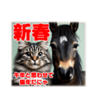 馬じゃなくって猫年だにゃ！！！年賀スタンプ（個別スタンプ：15）
