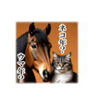 馬じゃなくって猫年だにゃ！！！年賀スタンプ（個別スタンプ：18）