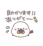 シマエナガさん♥️家族で使える連絡用2（個別スタンプ：34）