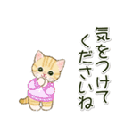 冬のちびにゃんズ（個別スタンプ：23）