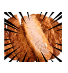 国産豚のとんかつ（個別スタンプ：30）