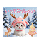 スコティッシュ猫 可愛いトナカイ帽 冬（個別スタンプ：13）