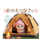 スコティッシュ猫 可愛いトナカイ帽 冬（個別スタンプ：15）