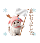 スコティッシュ猫 可愛いトナカイ帽 冬（個別スタンプ：20）