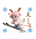 スコティッシュ猫 可愛いトナカイ帽 冬（個別スタンプ：24）