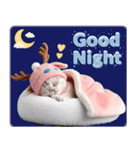 スコティッシュ猫 可愛いトナカイ帽 冬（個別スタンプ：30）