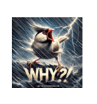 文鳥無双！！（個別スタンプ：10）