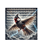 文鳥無双！！（個別スタンプ：22）