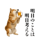 酒呑みの柴犬【シュールな日常】（個別スタンプ：1）