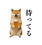 酒呑みの柴犬【シュールな日常】（個別スタンプ：3）