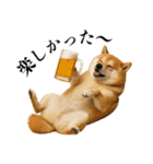酒呑みの柴犬【シュールな日常】（個別スタンプ：4）