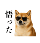 酒呑みの柴犬【シュールな日常】（個別スタンプ：10）