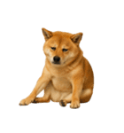 酒呑みの柴犬【シュールな日常】（個別スタンプ：14）