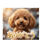 【みんな持ってる】冬のトイプードル（個別スタンプ：1）