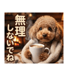 【みんな持ってる】冬のトイプードル（個別スタンプ：2）