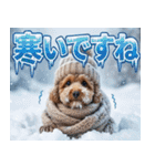 【みんな持ってる】冬のトイプードル（個別スタンプ：4）