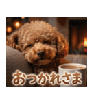 【みんな持ってる】冬のトイプードル（個別スタンプ：11）