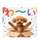 【みんな持ってる】冬のトイプードル（個別スタンプ：13）