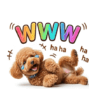 【みんな持ってる】冬のトイプードル（個別スタンプ：14）