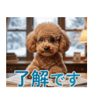 【みんな持ってる】冬のトイプードル（個別スタンプ：16）
