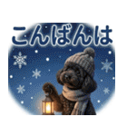 【みんな持ってる】冬のトイプードル（個別スタンプ：18）