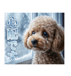 【みんな持ってる】冬のトイプードル（個別スタンプ：22）