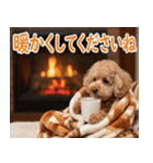 【みんな持ってる】冬のトイプードル（個別スタンプ：23）
