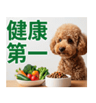 【みんな持ってる】冬のトイプードル（個別スタンプ：24）