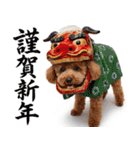 【みんな持ってる】冬のトイプードル（個別スタンプ：28）