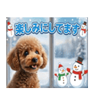 【みんな持ってる】冬のトイプードル（個別スタンプ：31）