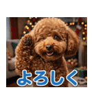 【みんな持ってる】冬のトイプードル（個別スタンプ：35）