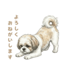 「シーズーのちこちゃん挨拶スタンプ」（個別スタンプ：3）