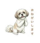 「シーズーのちこちゃん挨拶スタンプ」（個別スタンプ：4）