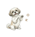 「シーズーのちこちゃん挨拶スタンプ」（個別スタンプ：5）