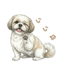 「シーズーのちこちゃん挨拶スタンプ」（個別スタンプ：6）